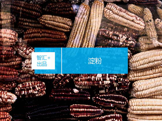 全淀粉可降解项目节选